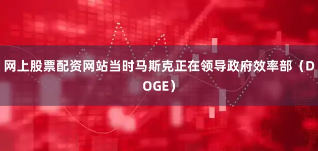 网上股票配资网站当时马斯克正在领导政府效率部（DOGE）